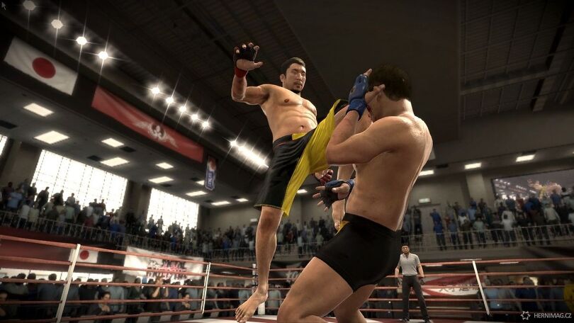 EA Sports MMA.