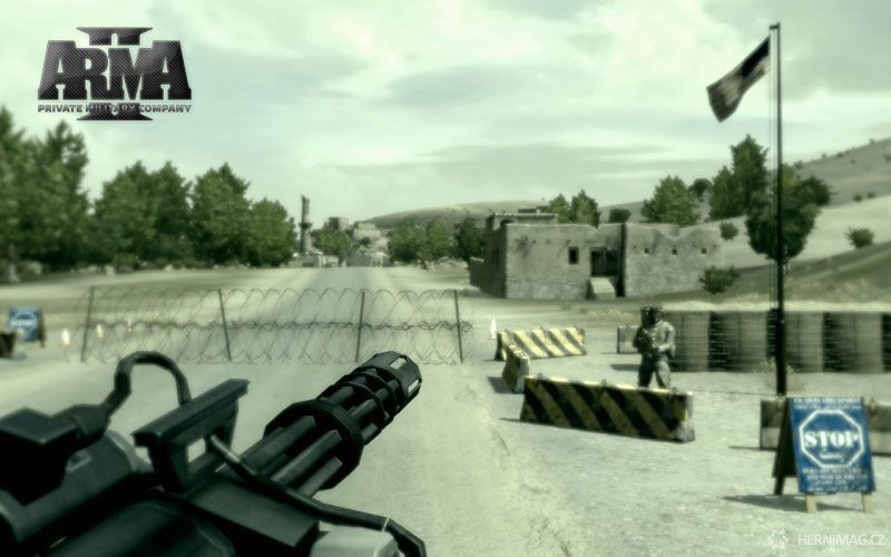 Arma II