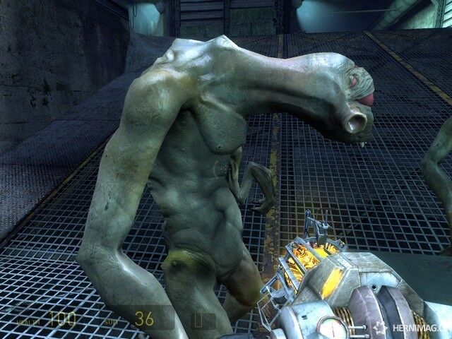 Half-Life 2 po všech stránkách povedená hra. Na Metacritis se jedná o nejlepší PC hru s hodnocením 96 %.
